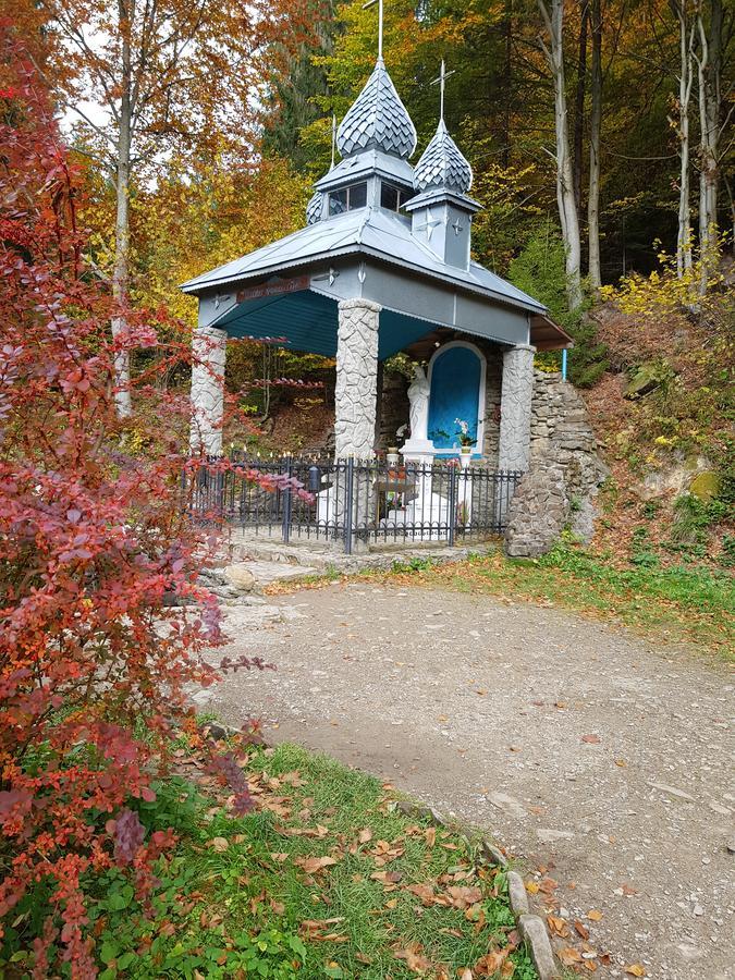 Hotel Dayarta à Skhidnytsia Extérieur photo